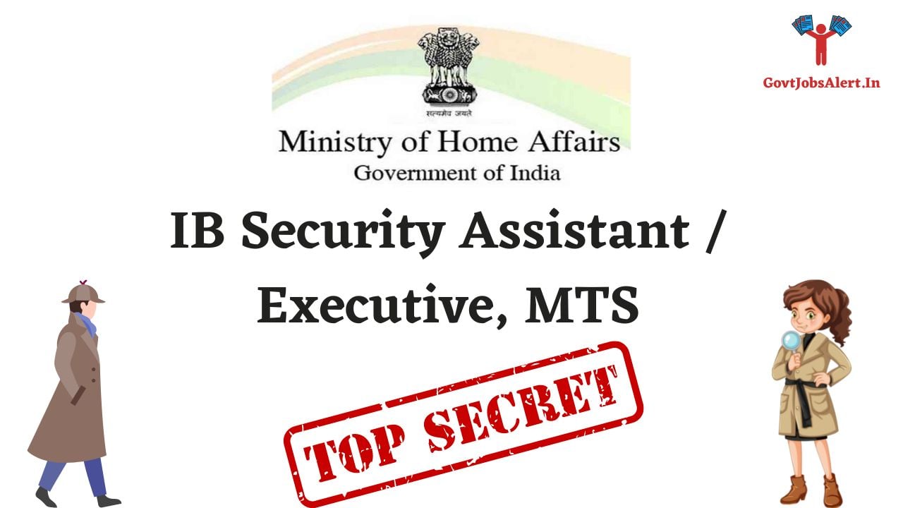 IB Security Assistant / Executive, MTS
