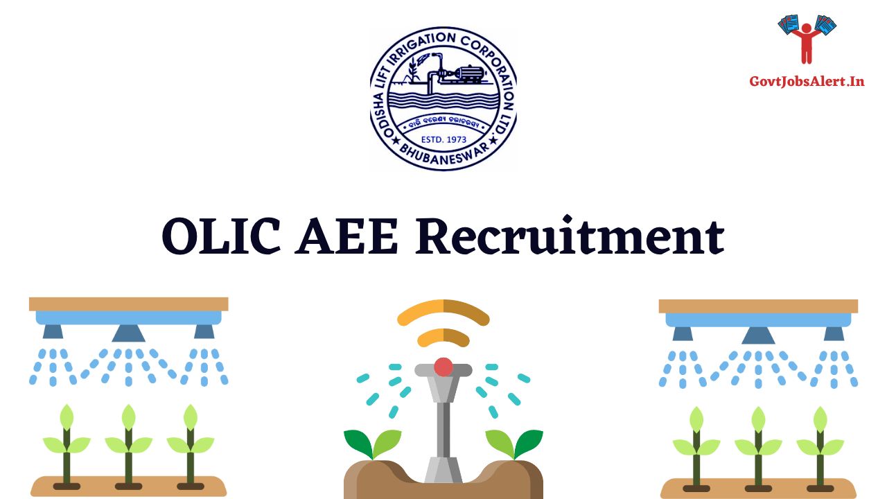 OLIC Assistant Executive Engineer (AEE) Recruitment