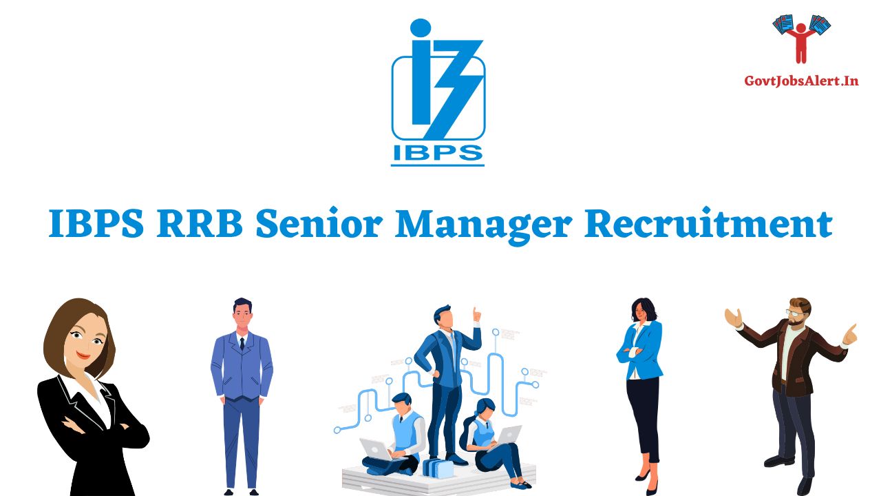 IBPS RRB Senior Manager Recruitment