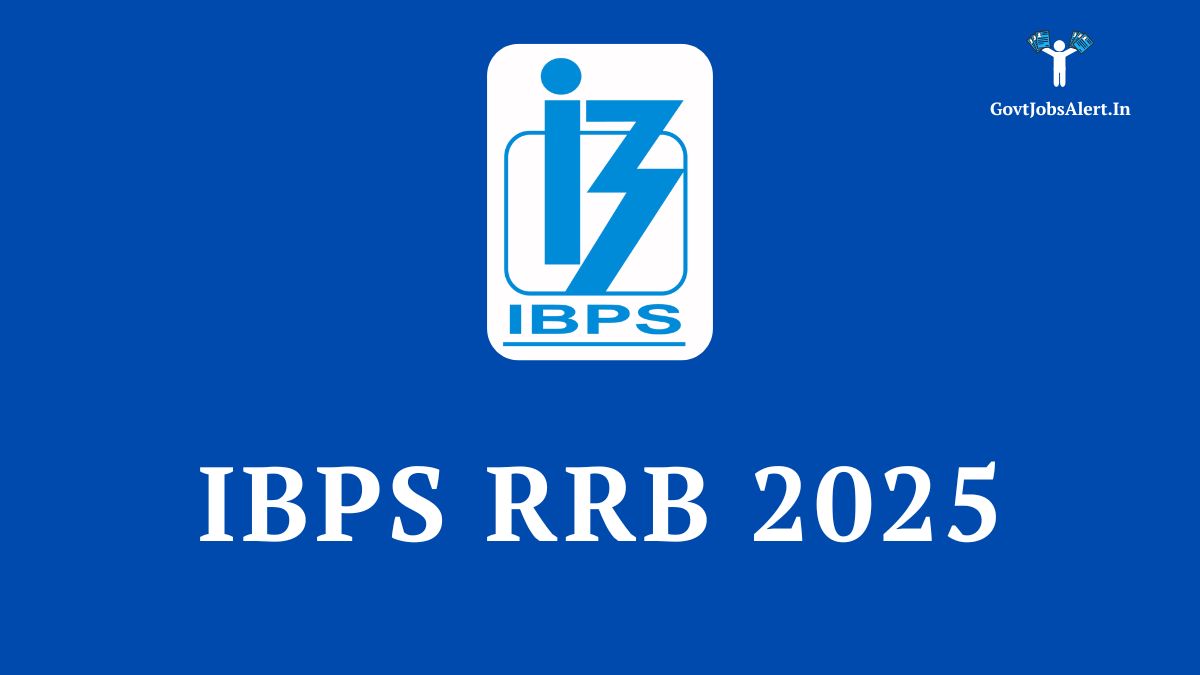 Ibps rrb 2025 recruitment notification for officer and office assistant posts, featuring the official ibps logo.